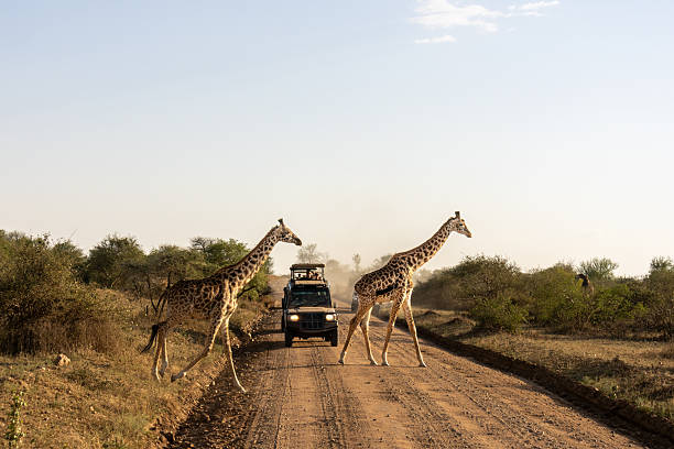 Serengeti National Park