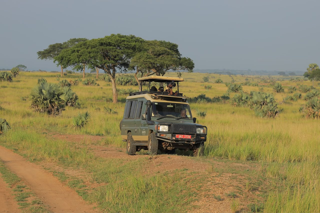 Ngorongoro National Park