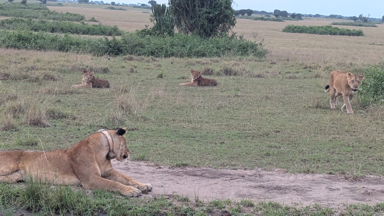Mount Kenya National Park