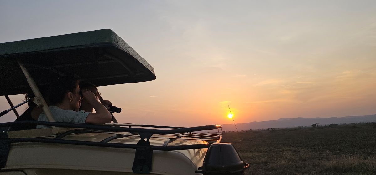 10-Day Midrange Gorillas and Wildlife Safari
