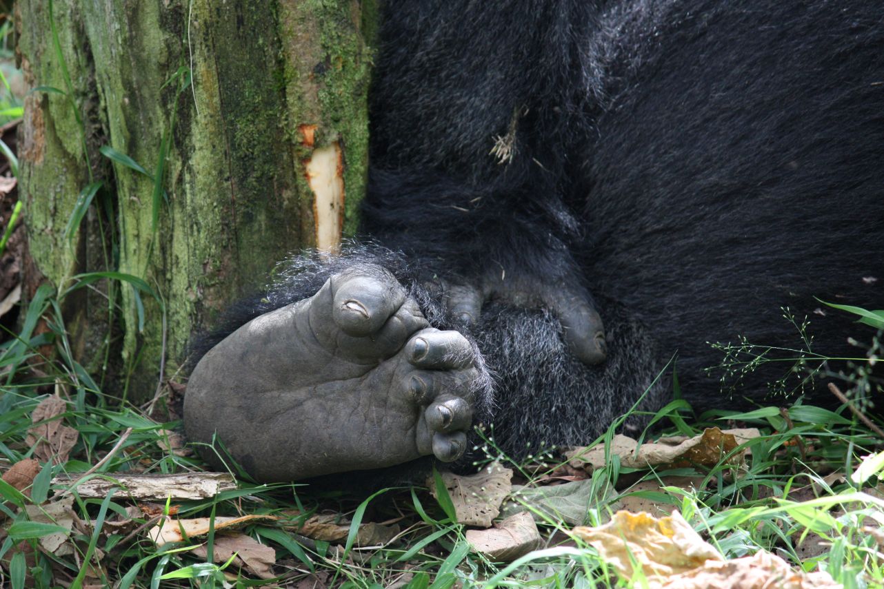 Rwanda