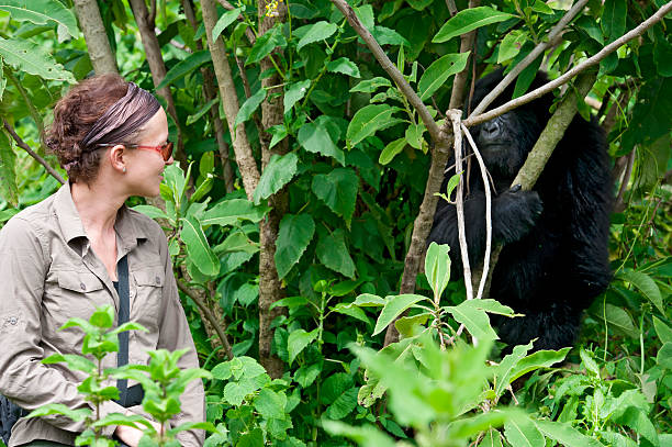 gorilla tours africa