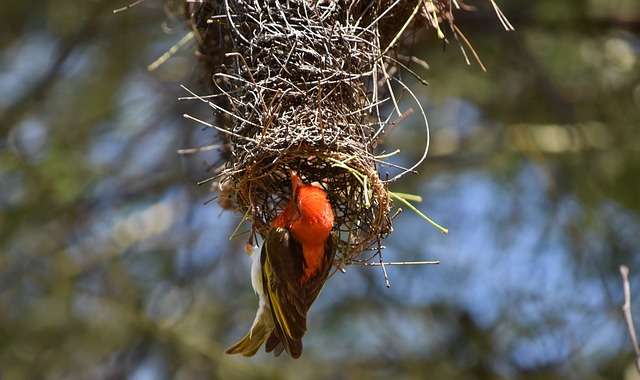 Mount Elgon National Park