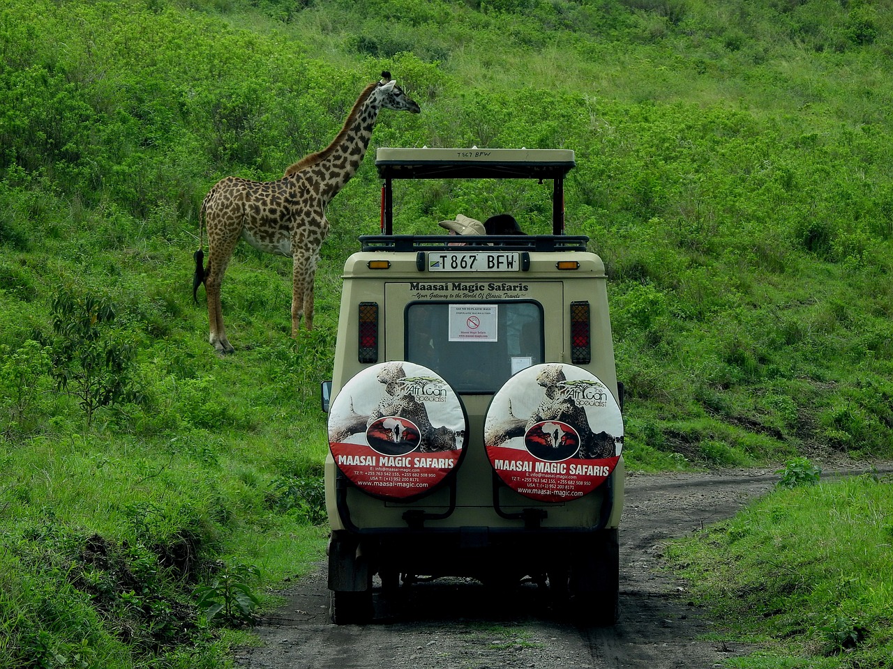 Tanzania Safaris