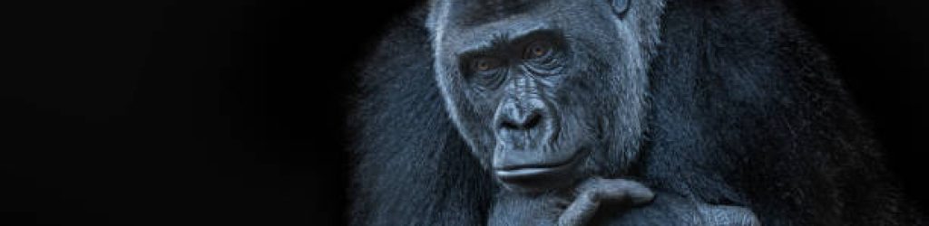 4 Days Uganda Gorillas